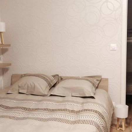 Le Cygne, Appartement De Standing En Hyper-Centre Sarreguemines Eksteriør billede