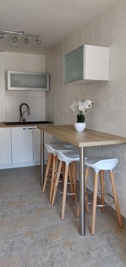 Le Cygne, Appartement De Standing En Hyper-Centre Sarreguemines Eksteriør billede