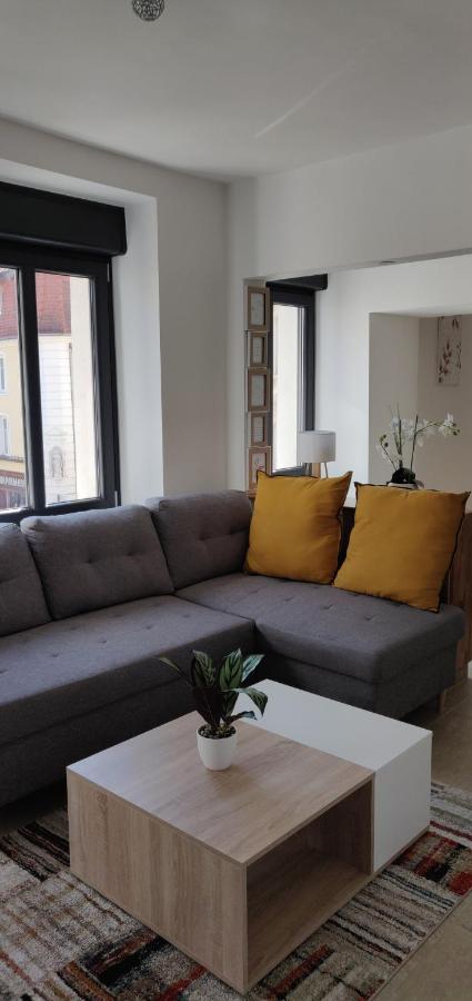 Le Cygne, Appartement De Standing En Hyper-Centre Sarreguemines Eksteriør billede